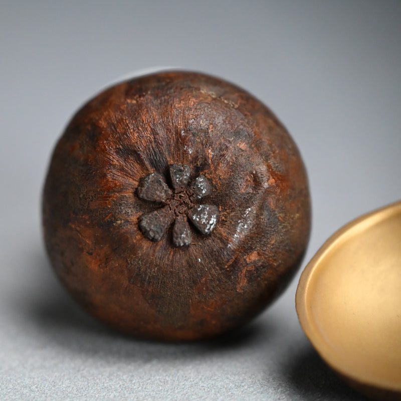 Gold-lined Mangosteen Kogo ー富岡 鉄斎 “香合 マンゴシチン”