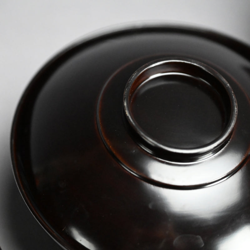 Set 10 Antique Lacquer Soup Bowls, Elegant Plum Motif