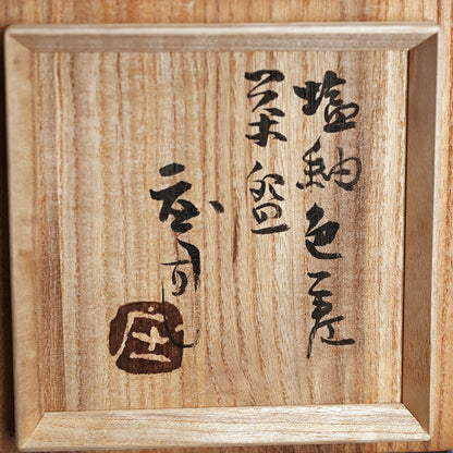 Fabulous LNT Salt Glazed Chawan Tea Bowl ー浜田 庄司 “塩釉色差茶盌”