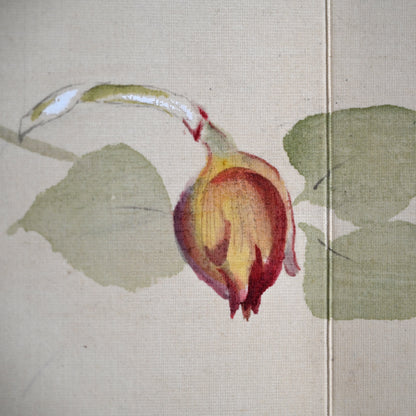 Antique Japanese Nihonga Gacho Painting Album, 1934