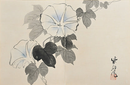 Antique Japanese Nihonga Gacho Painting Album, 1934
