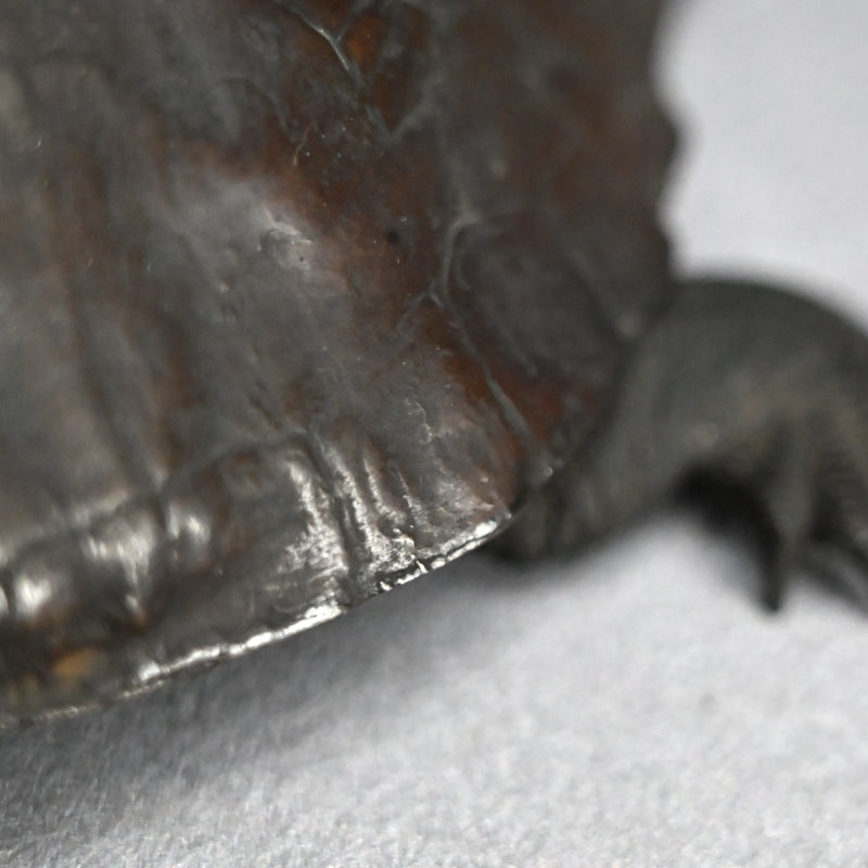 Antique Japanese Bronze Turtle Okimono
