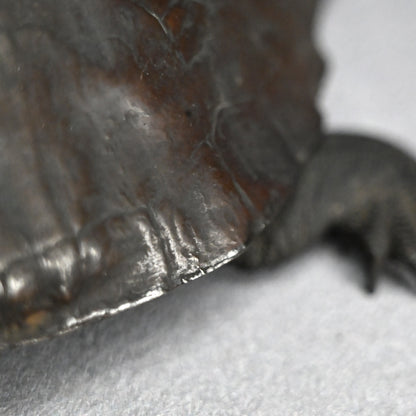 Antique Japanese Bronze Turtle Okimono