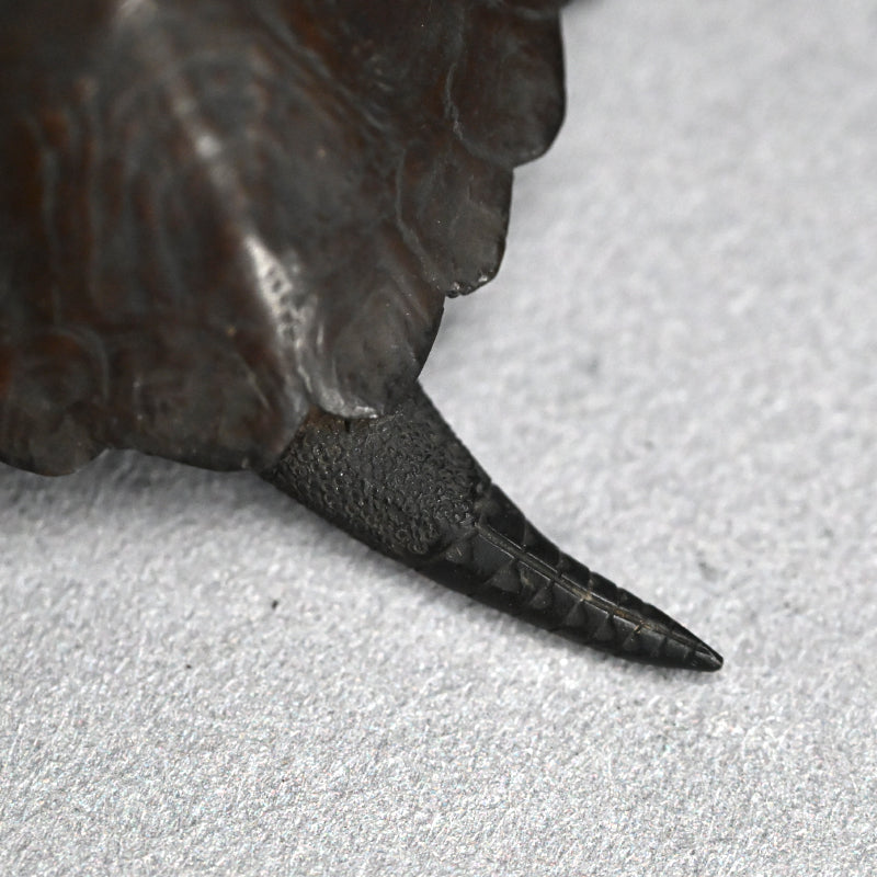 Antique Japanese Bronze Turtle Okimono