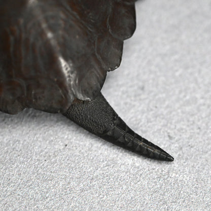 Antique Japanese Bronze Turtle Okimono