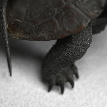 Antique Japanese Bronze Turtle Okimono