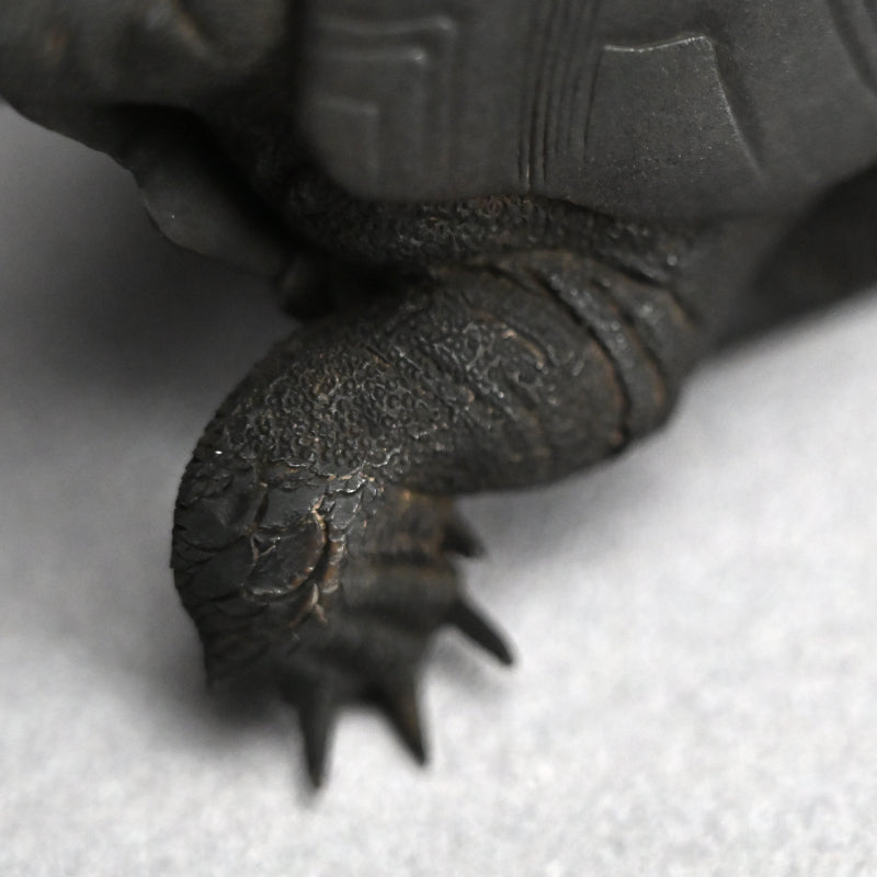 Antique Japanese Bronze Turtle Okimono