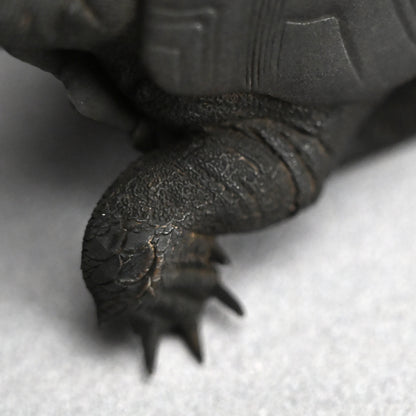 Antique Japanese Bronze Turtle Okimono