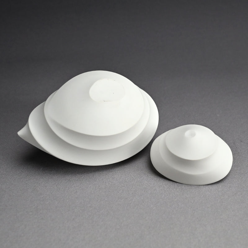 Radiant White Sake set ー馬場 麟汰郎 “白磁酒器 皎”