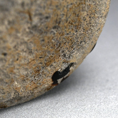 Early Edo period Seto Seed Tsubo