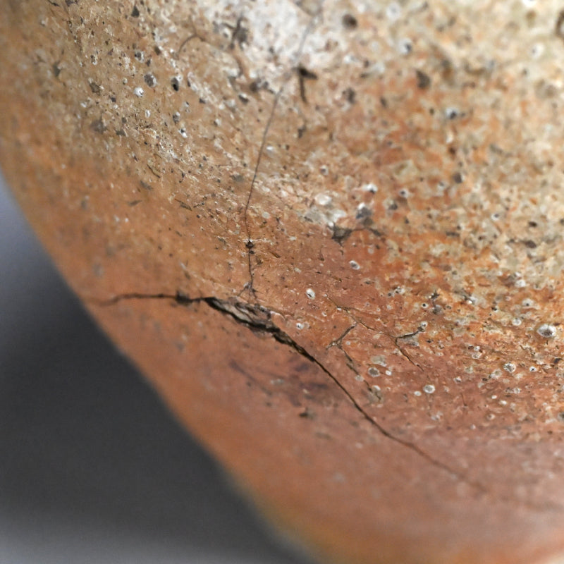 RARE Muromachi period Shigaraki Yohen Tsubo