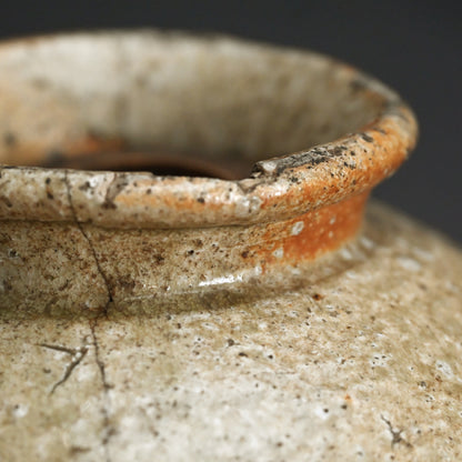 RARE Muromachi period Shigaraki Yohen Tsubo