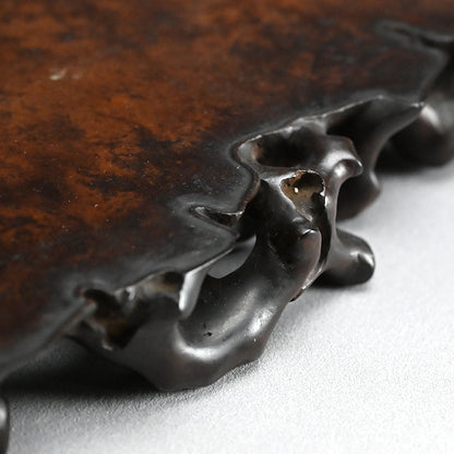 Fabulous Scholar Art Root Wood Display Table