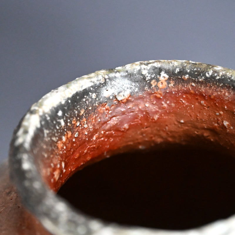 Iconic Shigaraki Tsubo Pioneering Female Artist ー小山 清子 “信楽自然釉 大壺”