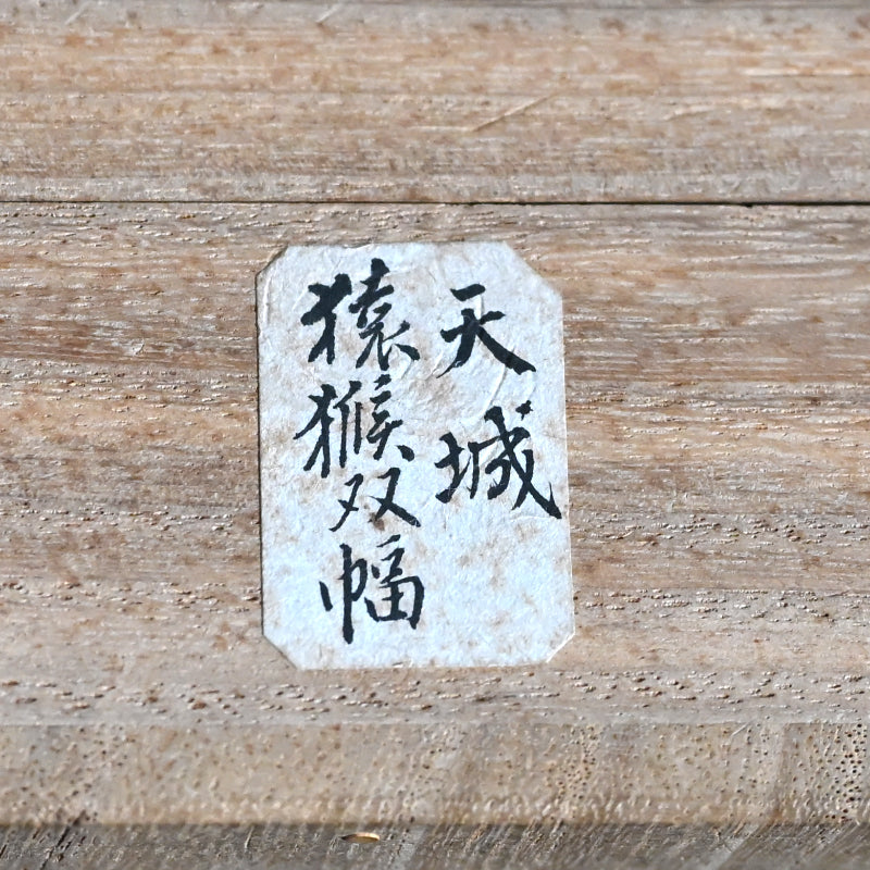 Scroll Pair, Monkeys Grasping for the Moon ー本多 天城 “猿猴圖”