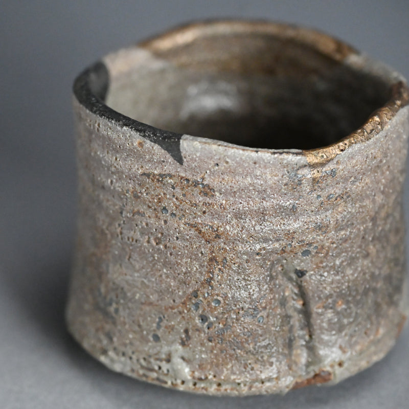 Masterpiece Nezumi Shino Chawan Tea Bowl ー二十歩 文雄 “鼡志埜”