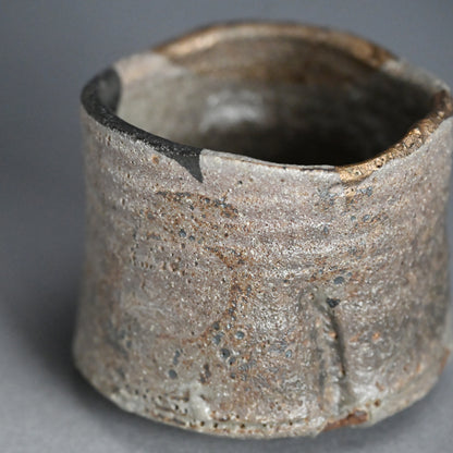 Masterpiece Nezumi Shino Chawan Tea Bowl ー二十歩 文雄 “鼡志埜”