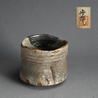 Masterpiece Nezumi Shino Chawan Tea Bowl ー二十歩 文雄 “鼡志埜”