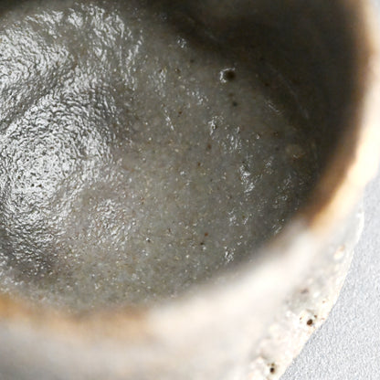 Masterpiece Nezumi Shino Chawan Tea Bowl ー二十歩 文雄 “鼡志埜”