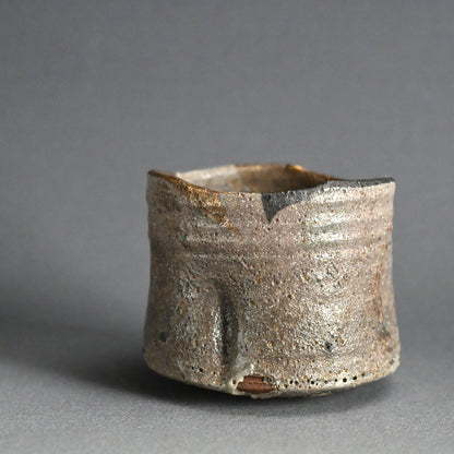 Masterpiece Nezumi Shino Chawan Tea Bowl ー二十歩 文雄 “鼡志埜”