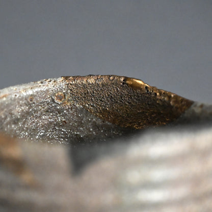 Masterpiece Nezumi Shino Chawan Tea Bowl ー二十歩 文雄 “鼡志埜”