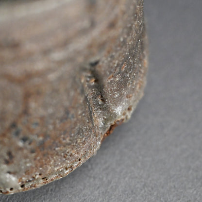 Masterpiece Nezumi Shino Chawan Tea Bowl ー二十歩 文雄 “鼡志埜”