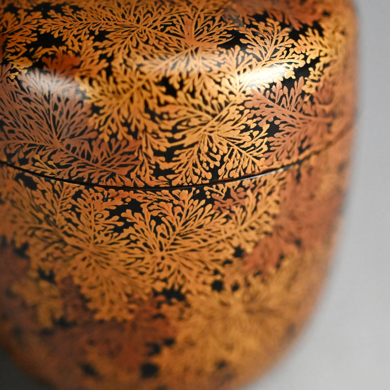 Exquisite Late Edo Natsume ー橋屋 (浅野) 友七 "時代蒔絵 中棗"