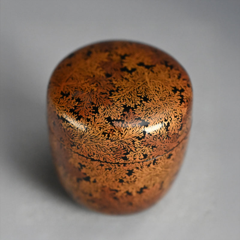 Exquisite Late Edo Natsume ー橋屋 (浅野) 友七 "時代蒔絵 中棗"