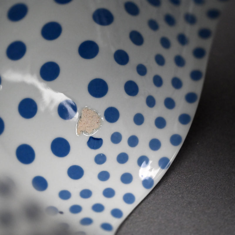 Porcelain Sculpture of Proliferating Form ー中島 晴美 “増殖する形”