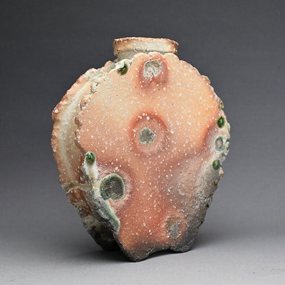 Flying Ash Glazed Shigaraki Henko Vase ー二代目 忠六、古谷 博文 “信楽 自然釉 扁花入”