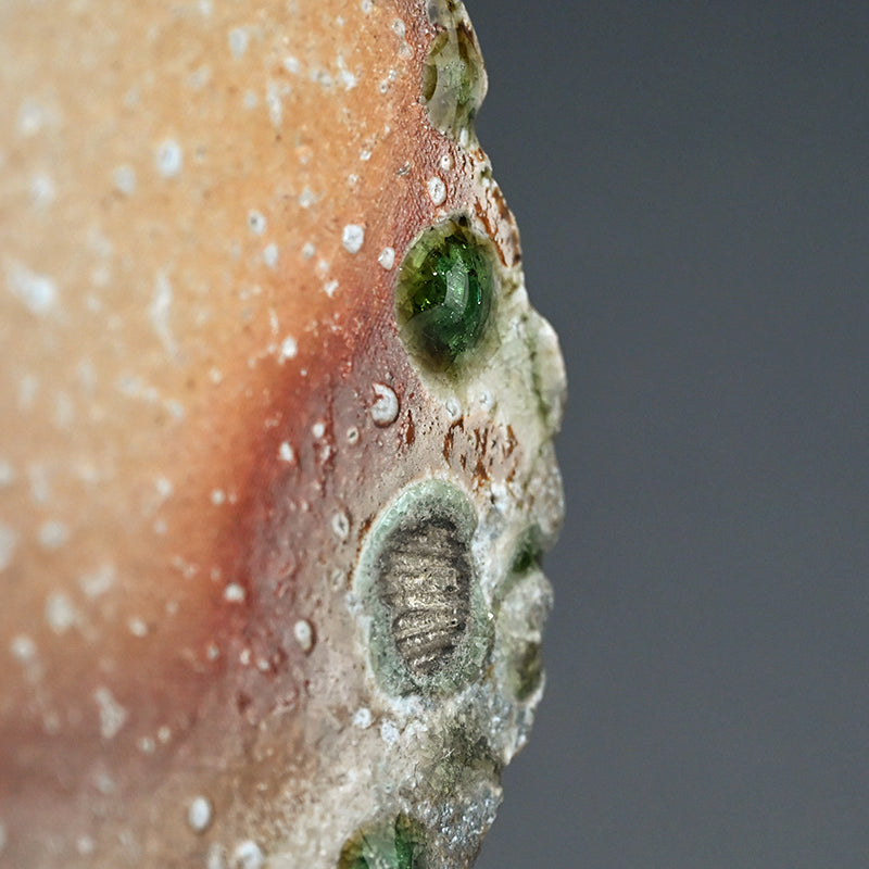 Flying Ash Glazed Shigaraki Henko Vase ー二代目 忠六、古谷 博文 “信楽 自然釉 扁花入”