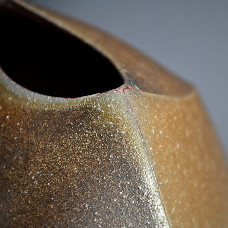 Bizen Henko Vase ー伊勢崎 創 "備前 扁壷"