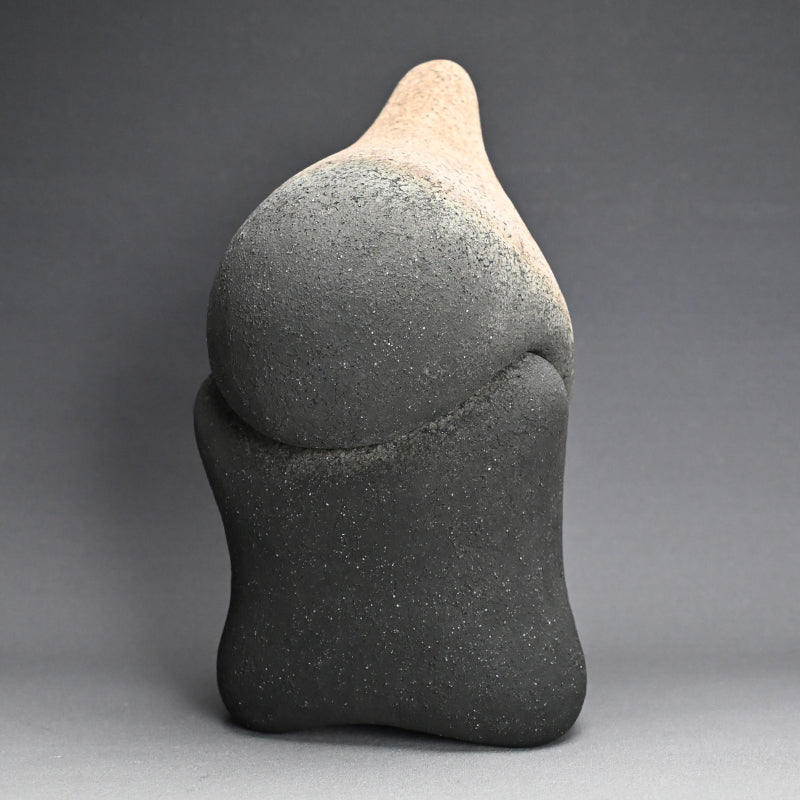 Contemporary Ceramic Sculpture Saido Utsuwa ー五味 謙二 "彩土器"