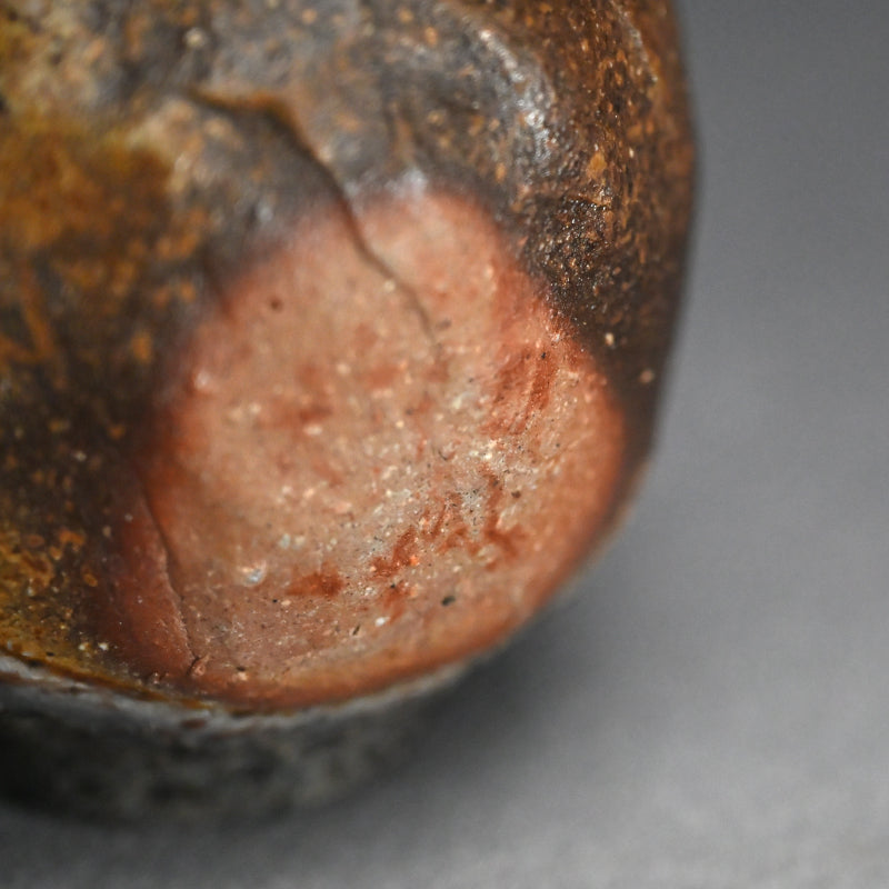 Bizen Yohen Tokkuri Sake Flask ー森 丁斎 “備前 手造り 窯変耳付徳利”