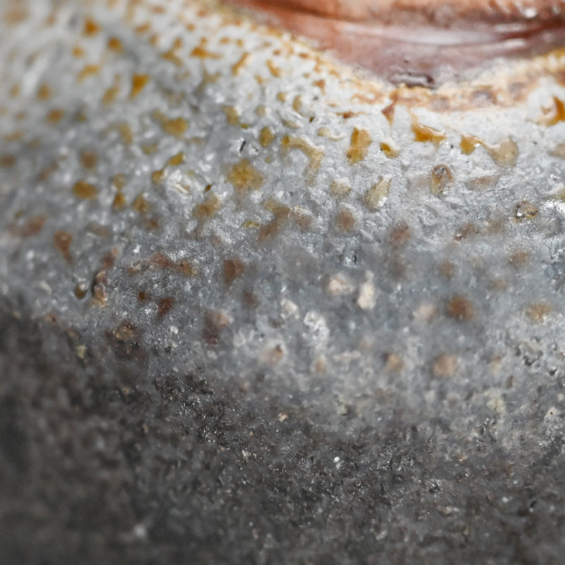 Bizen Yohen Chawan Tea Bowl ー森 丁斎 “備前 窯変茶盌”