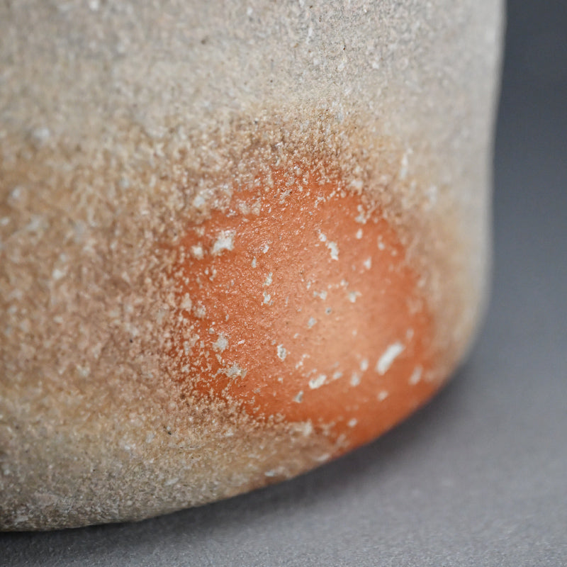 Classic Shigaraki Tsubo ー大谷 司朗 "信楽焼 壷"