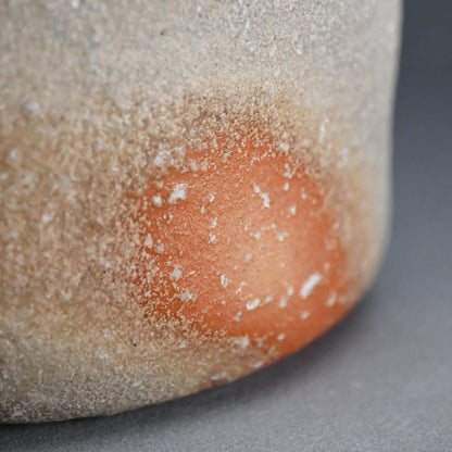 Classic Shigaraki Tsubo ー大谷 司朗 "信楽焼 壷"