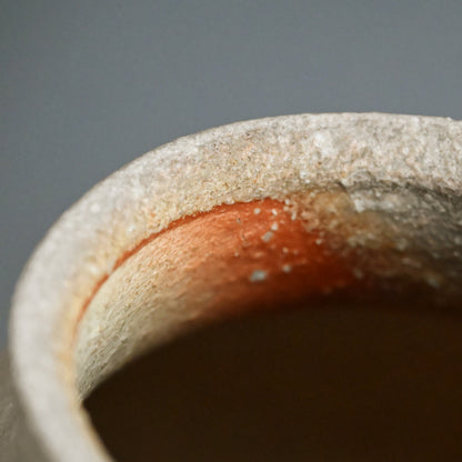 Classic Shigaraki Tsubo ー大谷 司朗 "信楽焼 壷"