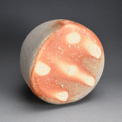 Classic Shigaraki Tsubo ー大谷 司朗 "信楽焼 壷"