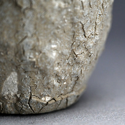 Gold Thorned Gray Vase ー東井 真咲朝 "鼠棘花器"