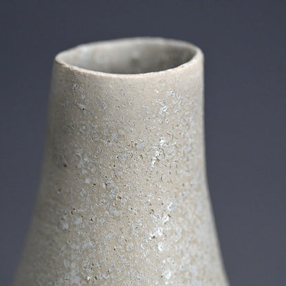 Gold Thorned Gray Vase ー東井 真咲朝 "鼠棘花器"