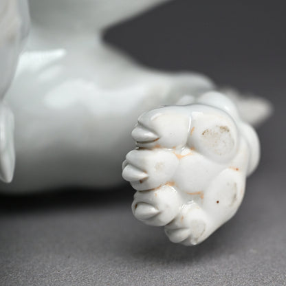 Rare! Fierce White Porcelain Shishi ー十二代 酒井田 柿右衛門 "獅子"
