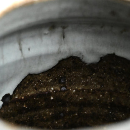 Contemporary Mashiko Tsubo Vase ー高内 秀剛 “益子糖白 壺”