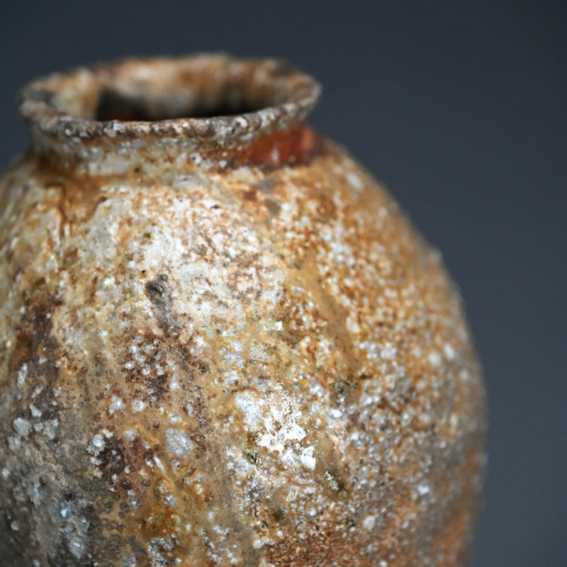 Iga Yakishime Vase ー岸野 寛 “伊賀 焼〆花入”
