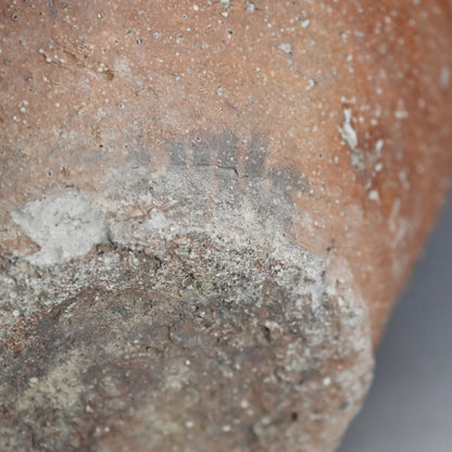 Muromachi to Momoyama period Shigaraki Tsubo