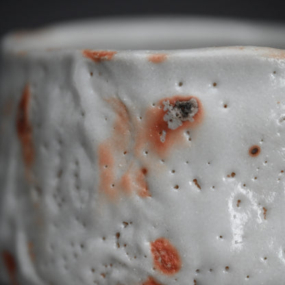 Snow White Shino Chawan Tea Bowl ー堀 一郎 “志野 茶盌”