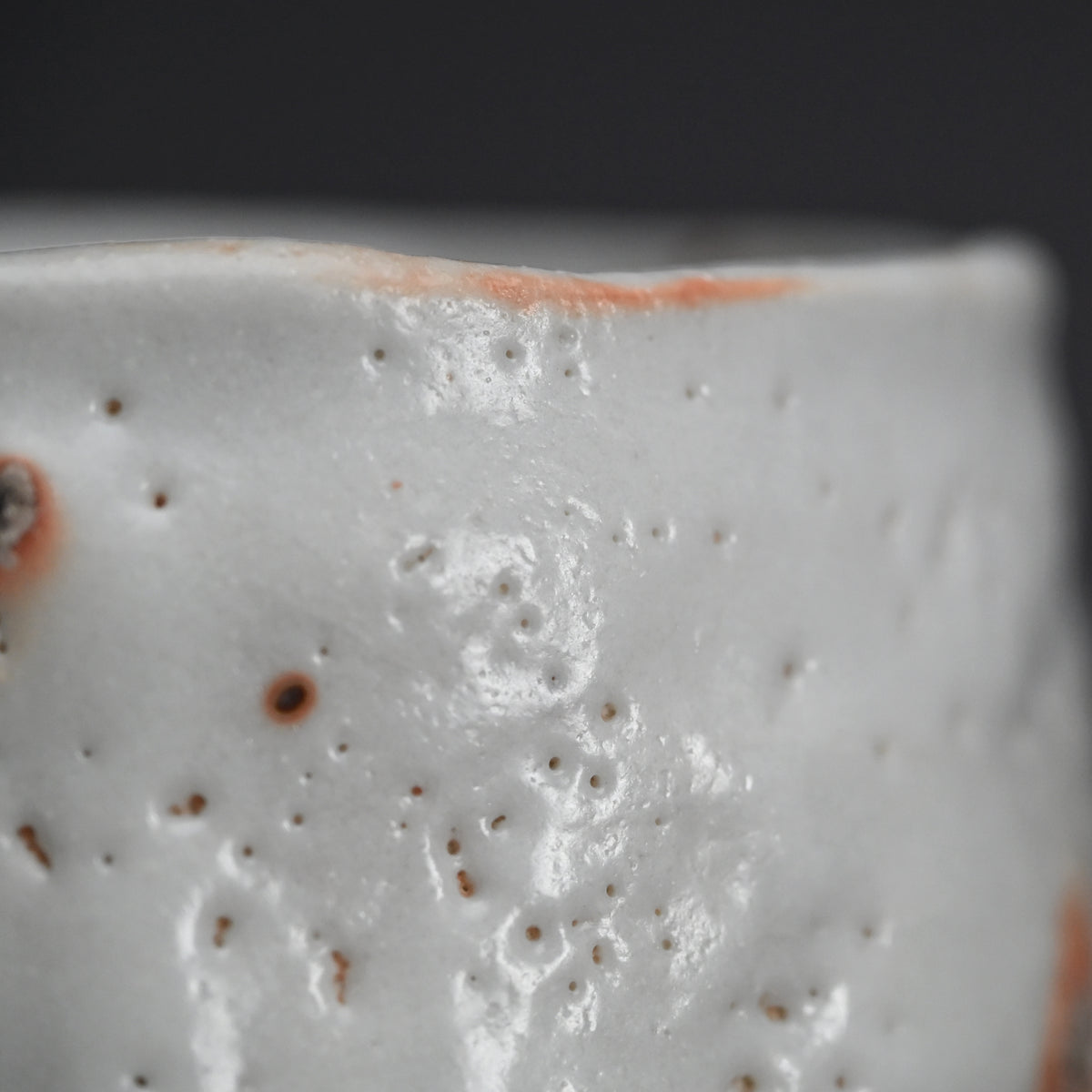 Snow White Shino Chawan Tea Bowl ー堀 一郎 “志野 茶盌”