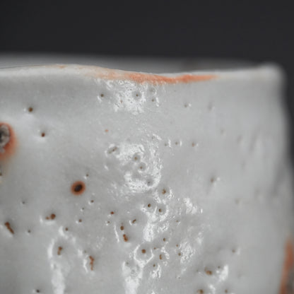 Snow White Shino Chawan Tea Bowl ー堀 一郎 “志野 茶盌”
