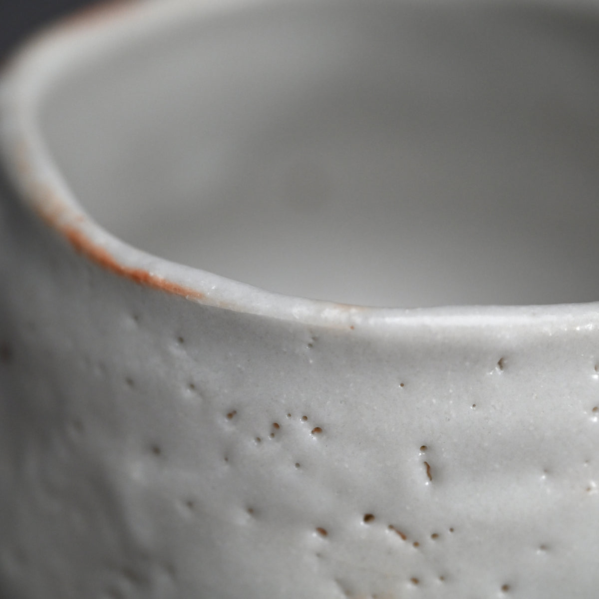 Snow White Shino Chawan Tea Bowl ー堀 一郎 “志野 茶盌”