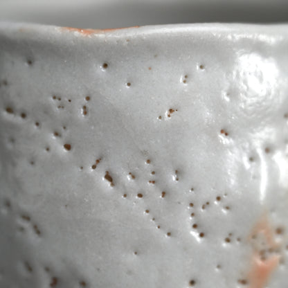 Snow White Shino Chawan Tea Bowl ー堀 一郎 “志野 茶盌”